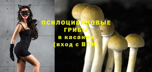 тгк Дмитриев