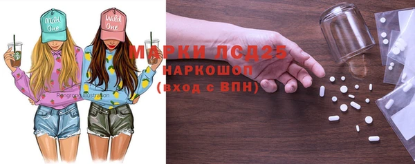 тгк Дмитриев
