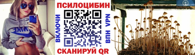 Псилоцибиновые грибы Magic Shrooms  Жуков 